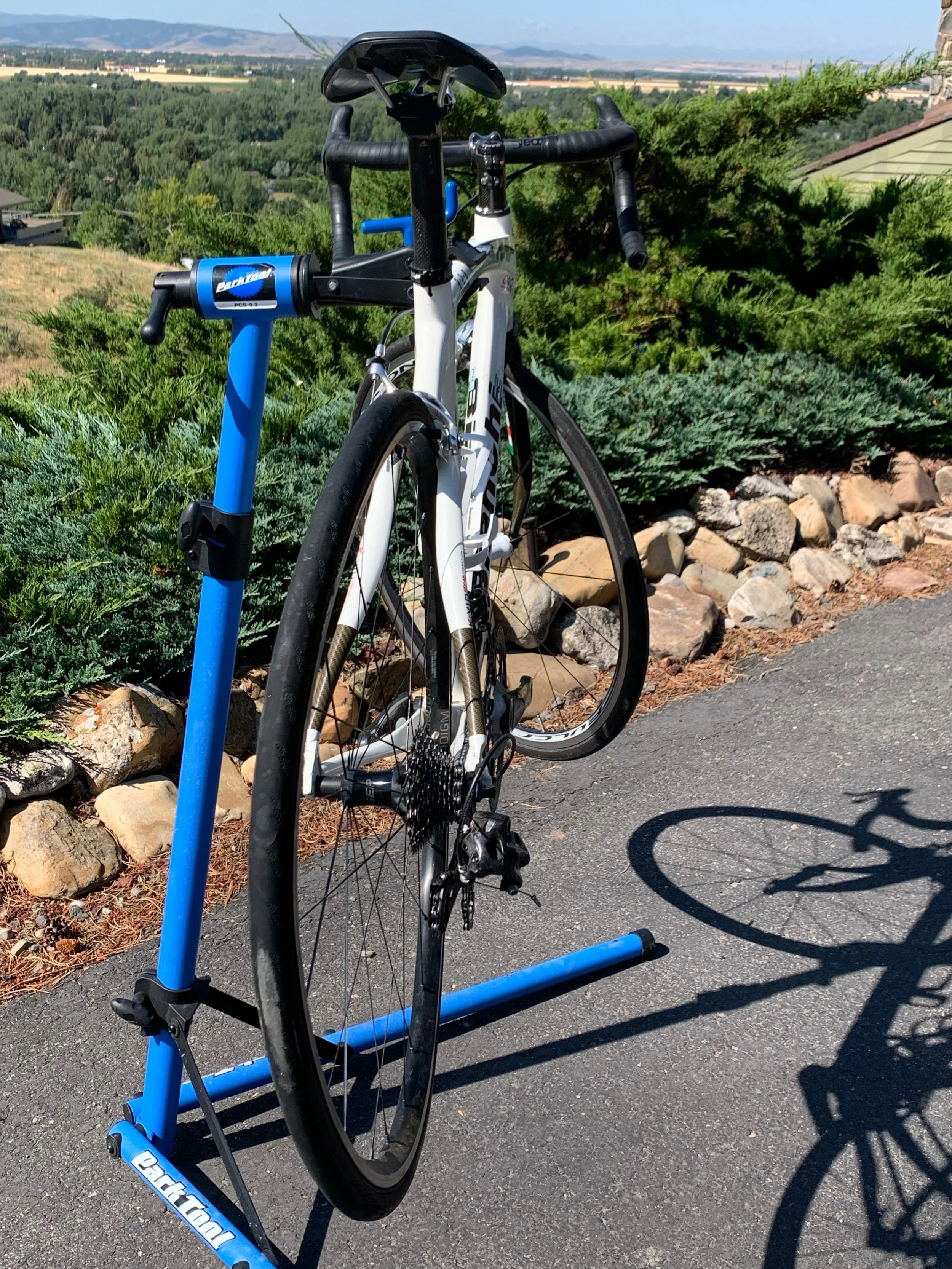 Stay safe: You know what you're doing, but does the traffic around you?