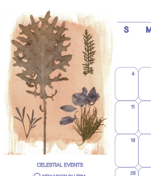 Screenshot 2025-12-21 at 1.46.40 PM.png