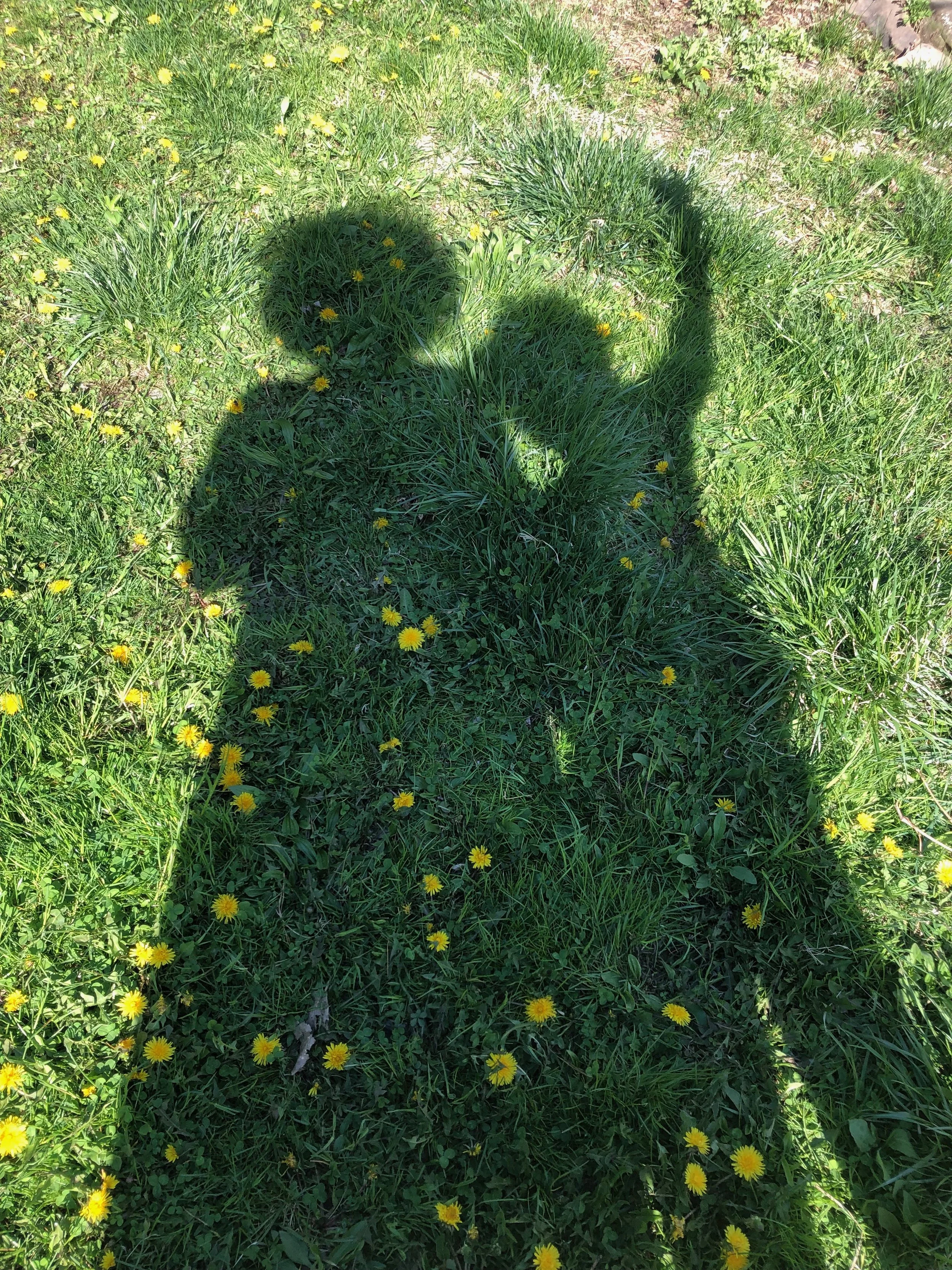 IMG_2754.jpeg