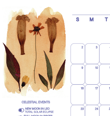 Screenshot 2025-12-21 at 1.46.32 PM.png