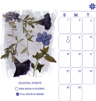 Screenshot 2025-12-21 at 1.46.45 PM.png