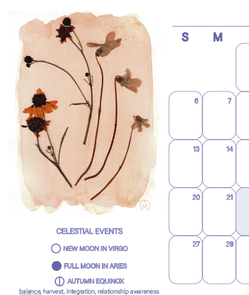 Screenshot 2025-12-21 at 1.46.35 PM.png