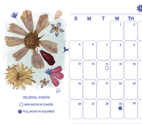 Screenshot 2025-12-21 at 1.46.28 PM.png