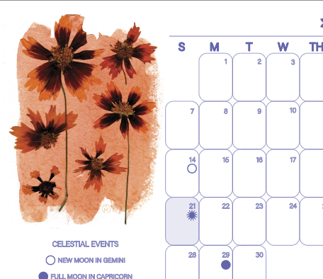 Screenshot 2025-12-21 at 1.46.25 PM.png