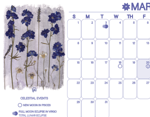 Screenshot 2025-12-21 at 1.46.02 PM.png