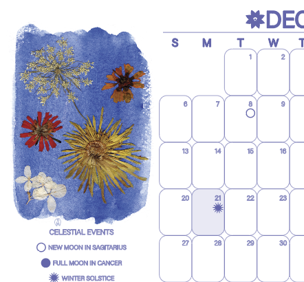 Screenshot 2025-12-21 at 1.46.49 PM.png