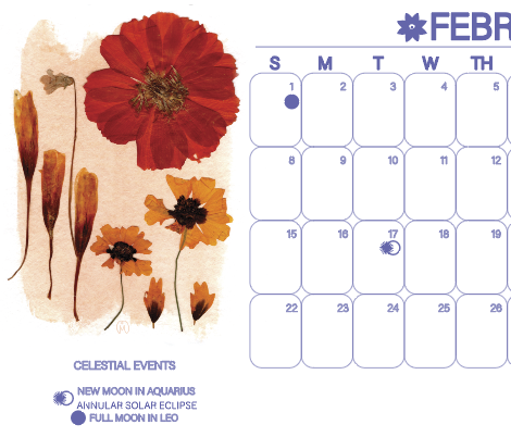 Screenshot 2025-12-21 at 1.45.57 PM.png