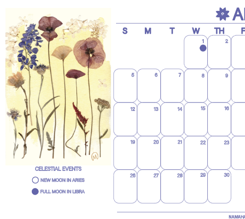 Screenshot 2025-12-21 at 1.46.14 PM.png