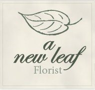 A+New+Leaf+Logo.jpg