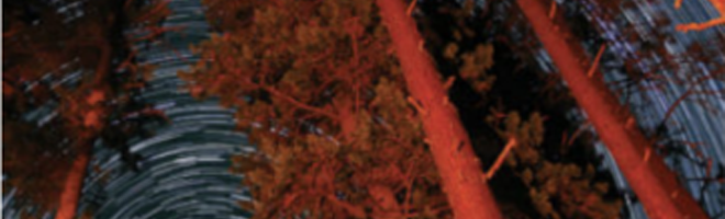 with-a-gift-for-burning-header.png