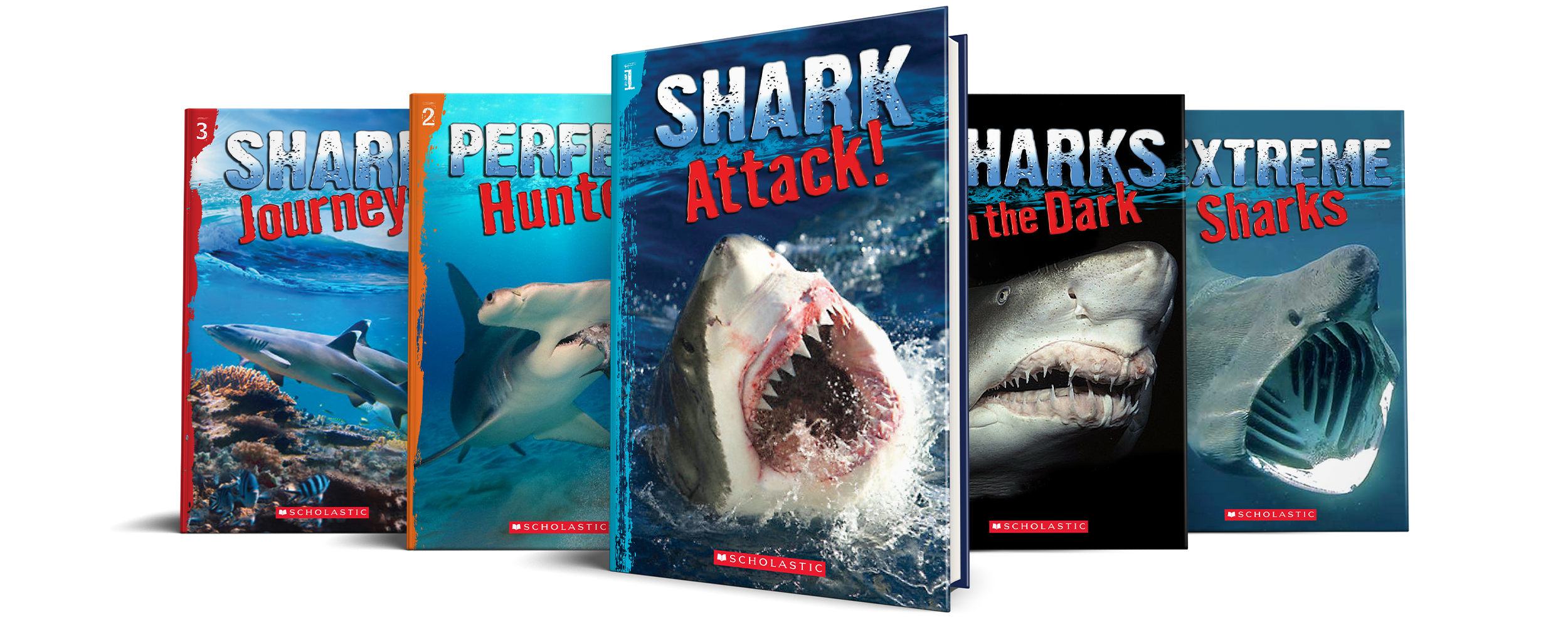 MAIN_SPLASH_Shark-Series.png