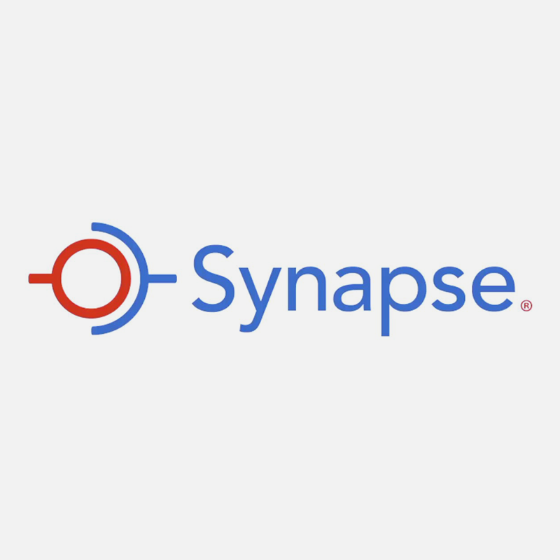 DV_WebsiteAssets_Synapse.png