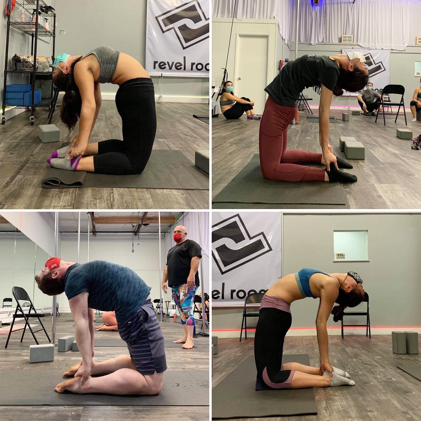 🐪These camels have been looking extra tall lately!

Come get flexy with us every Thursday at 7:30!

#activeflexibility #flexibilitytraining #flexible #camel #backbend #backflexibility #strongandbendy #activeflex #strength #flexibility #revelroomstud