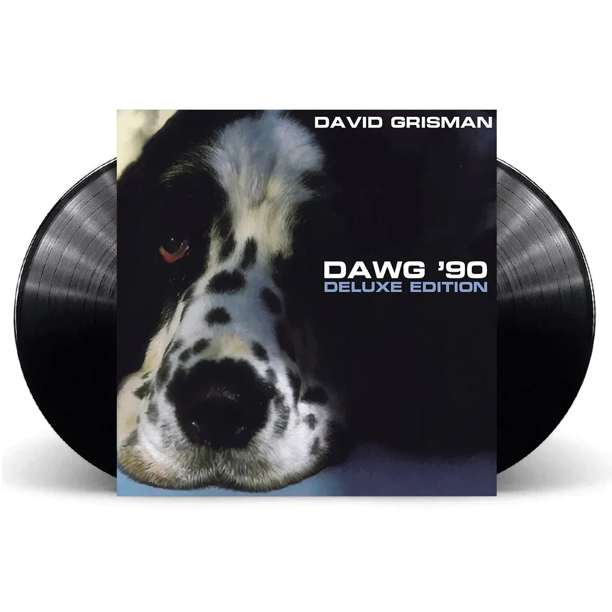 DavidGrisman_VinylMockup.webp