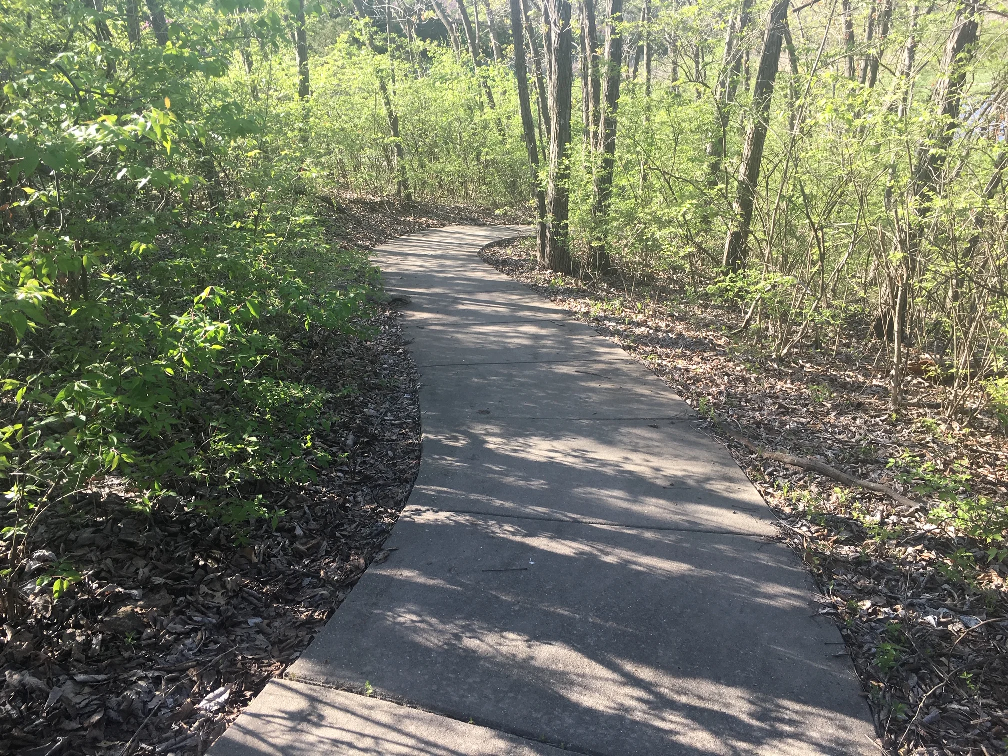 trail.jpg