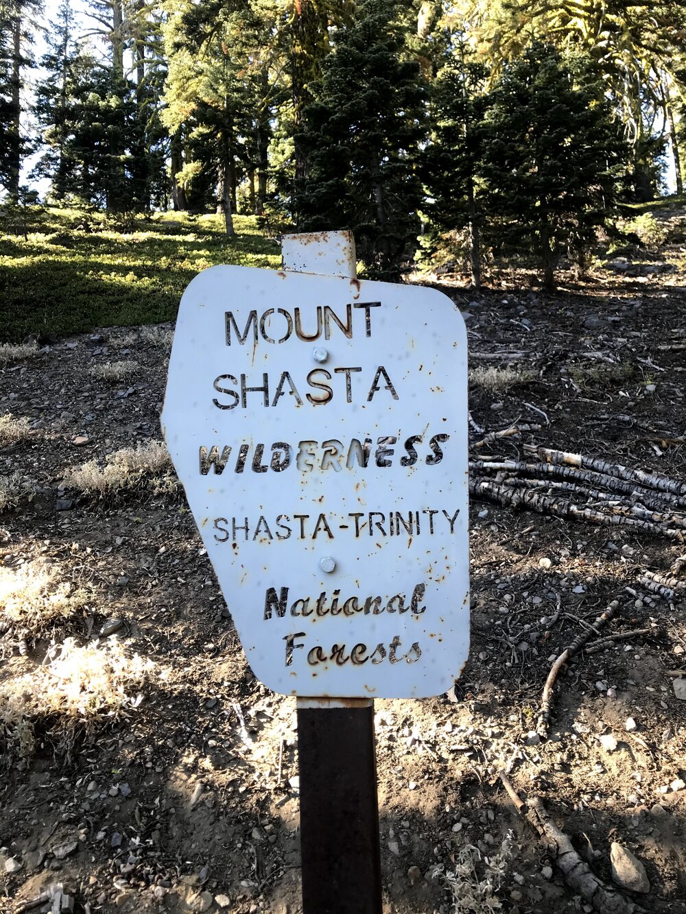 Mt. Shasta CA