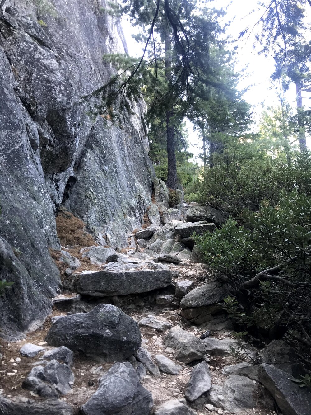 Complex uphill trails in Castle Crags