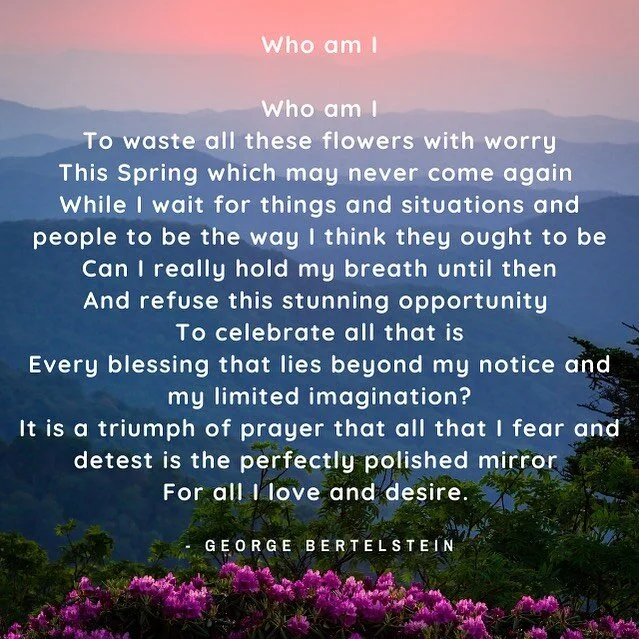 Who am I

Who am I
To waste all these flowers with worry
This Spring which may never come again 
While I wait for things and situations and people to be the way I think they ought to be
Can I really hold my breath until then
And refuse this stunning 