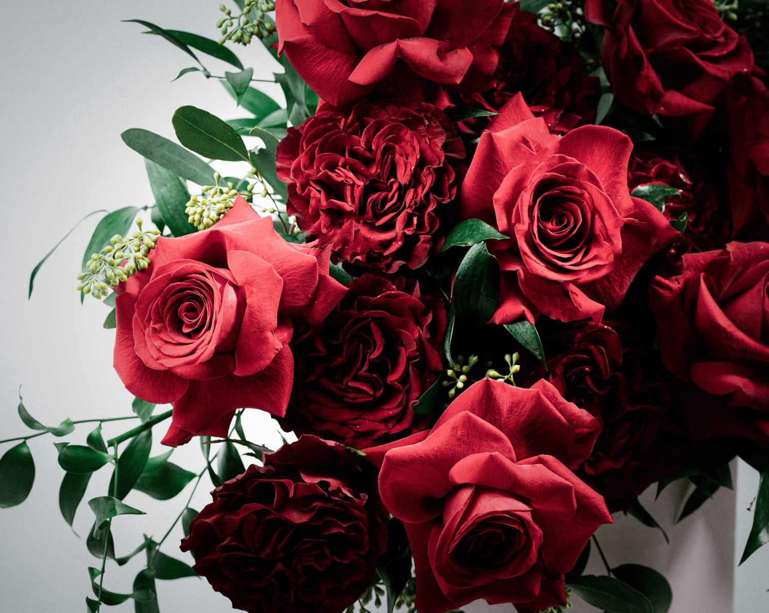 P&B_Red Rose Close Up.PNG