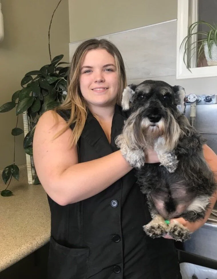 Groomers — The Paw Resort & Wellness Center Pet Grooming, Daycare