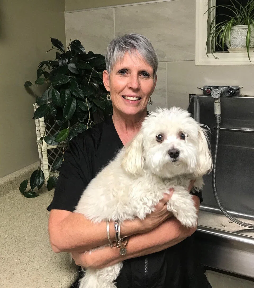 Groomers — The Paw Resort & Wellness Center Pet Grooming, Daycare