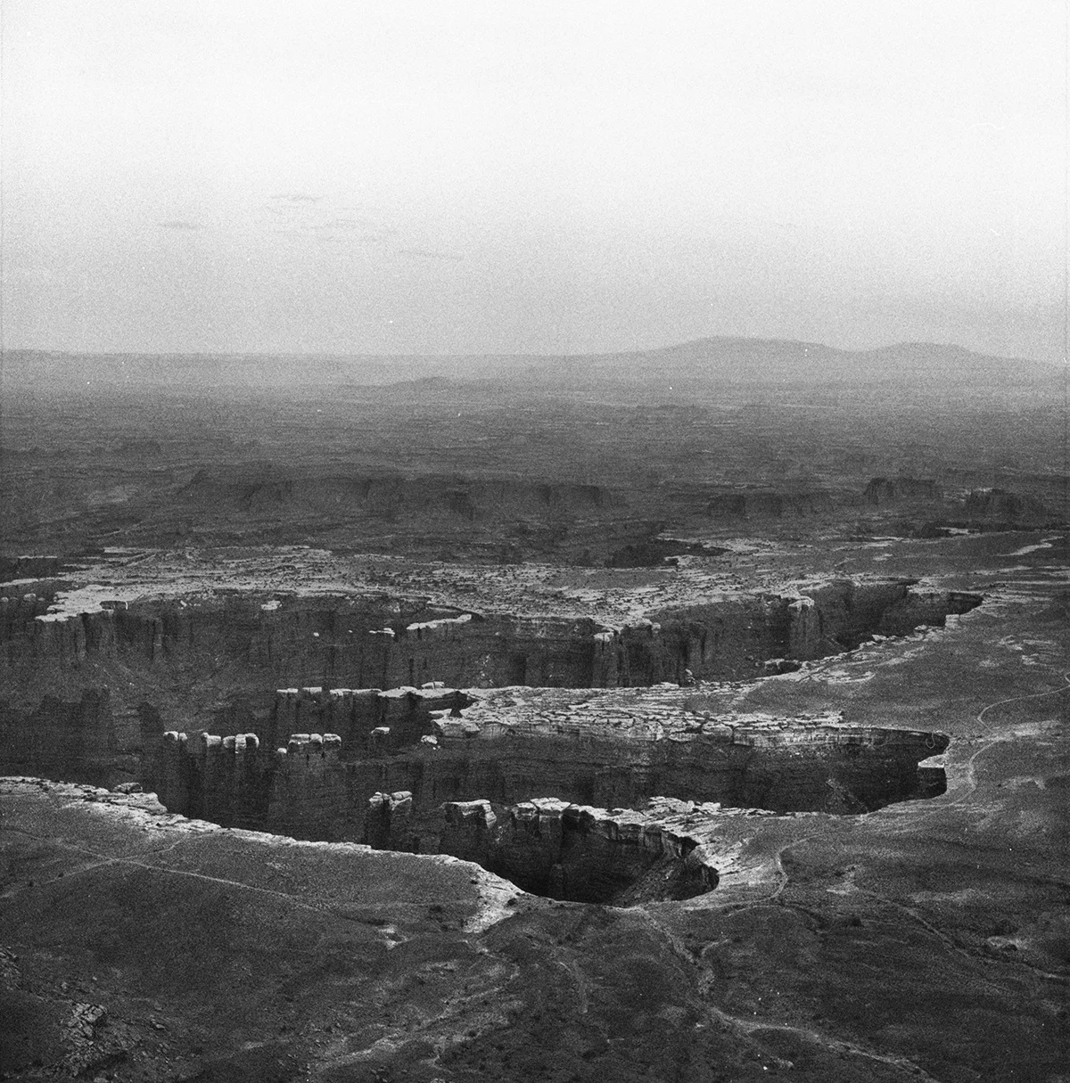 ilford 3200