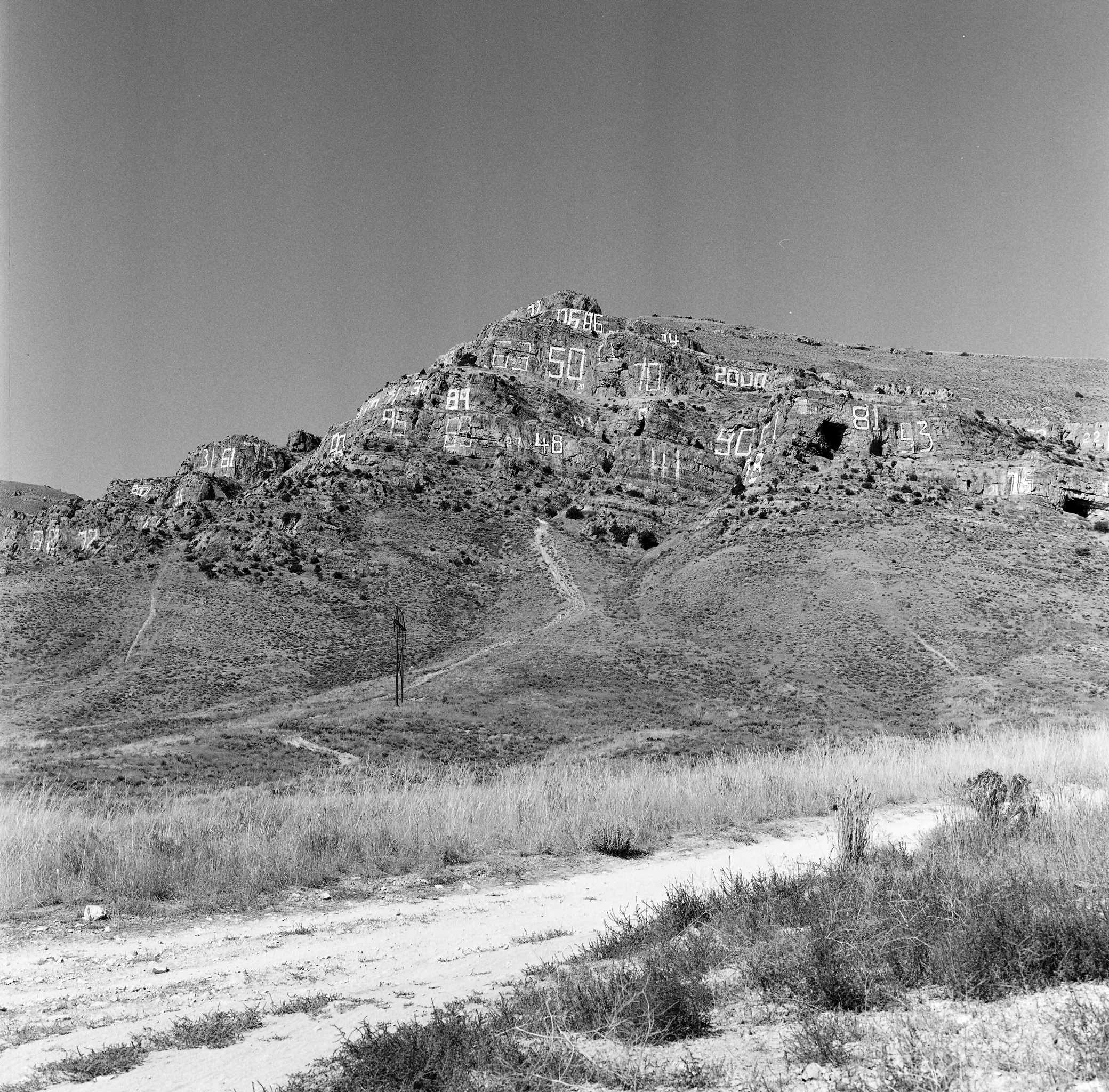 Kodak TMAX 400
