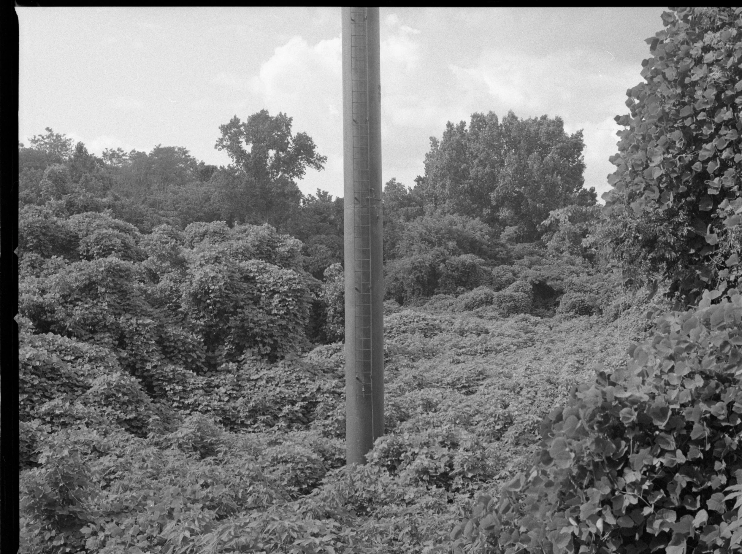 Kodak_400_TX_008.JPG