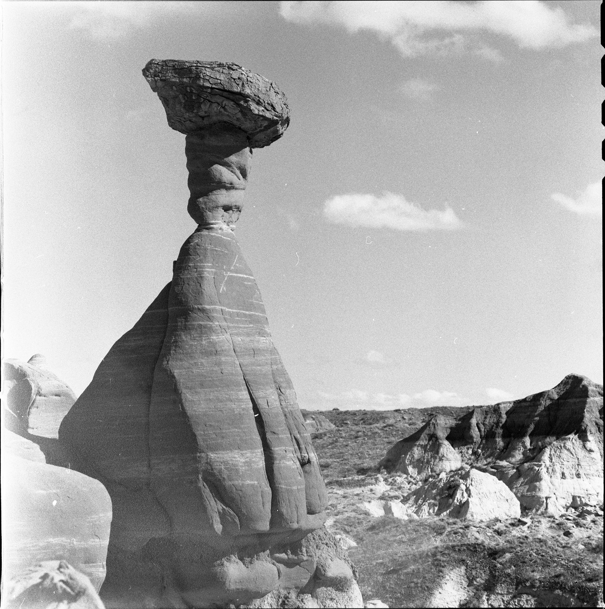Bergger Pancro 400