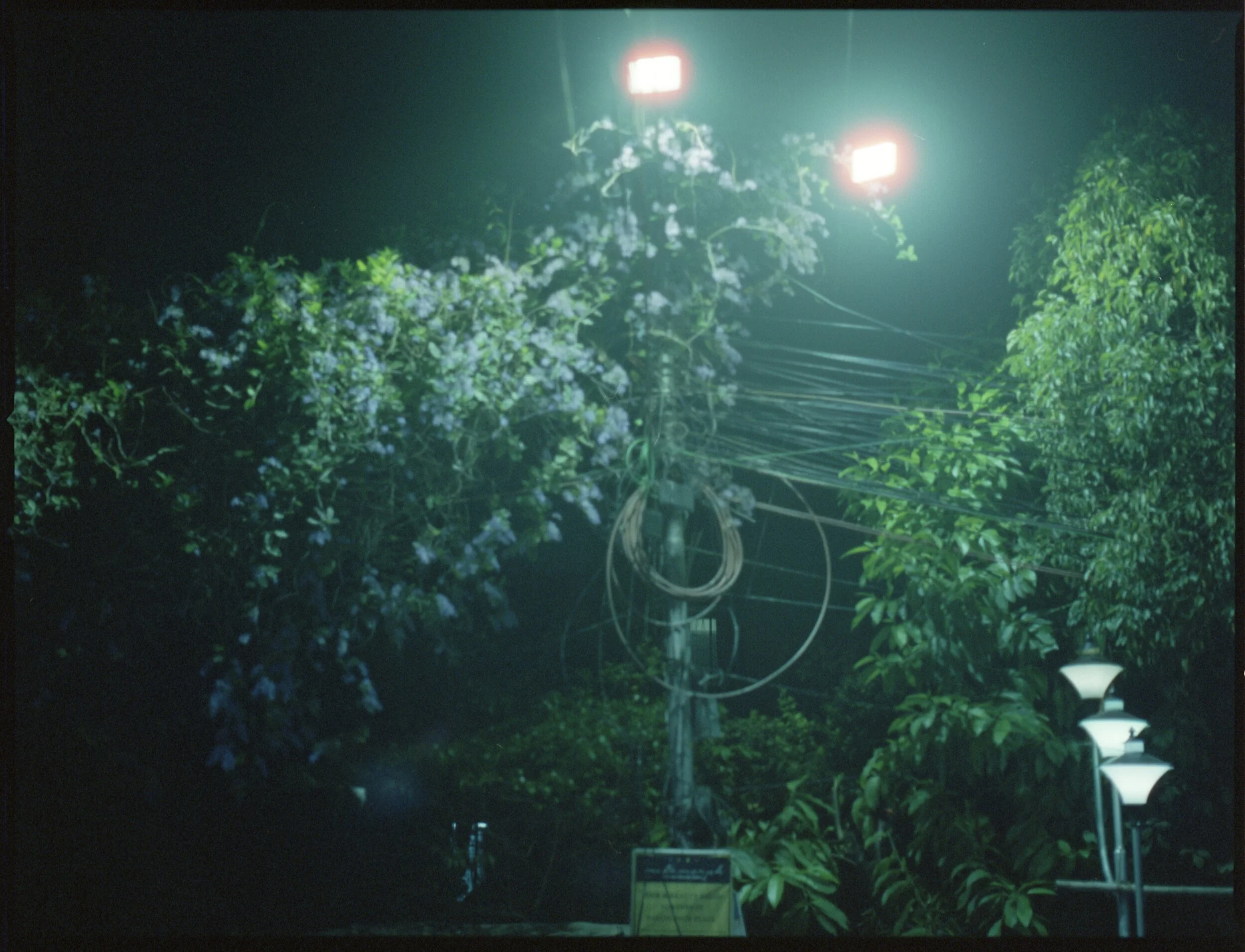 Kolkata_Cinestill800_007.jpg