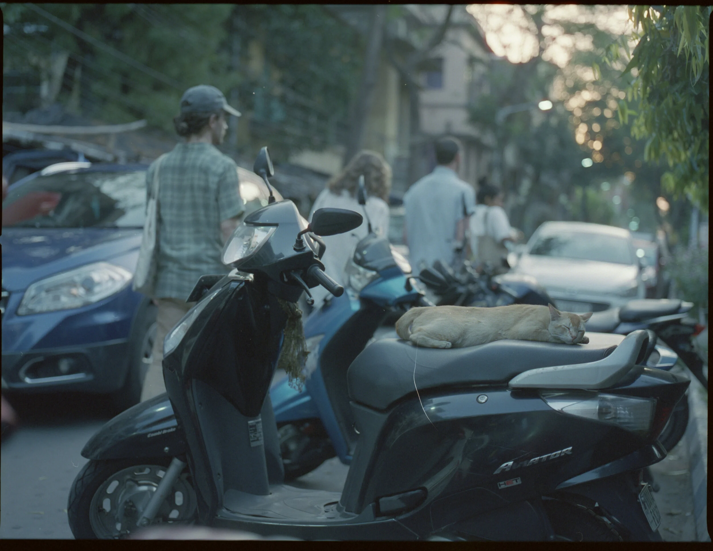 Kolkata_Cinestill800_016.jpg