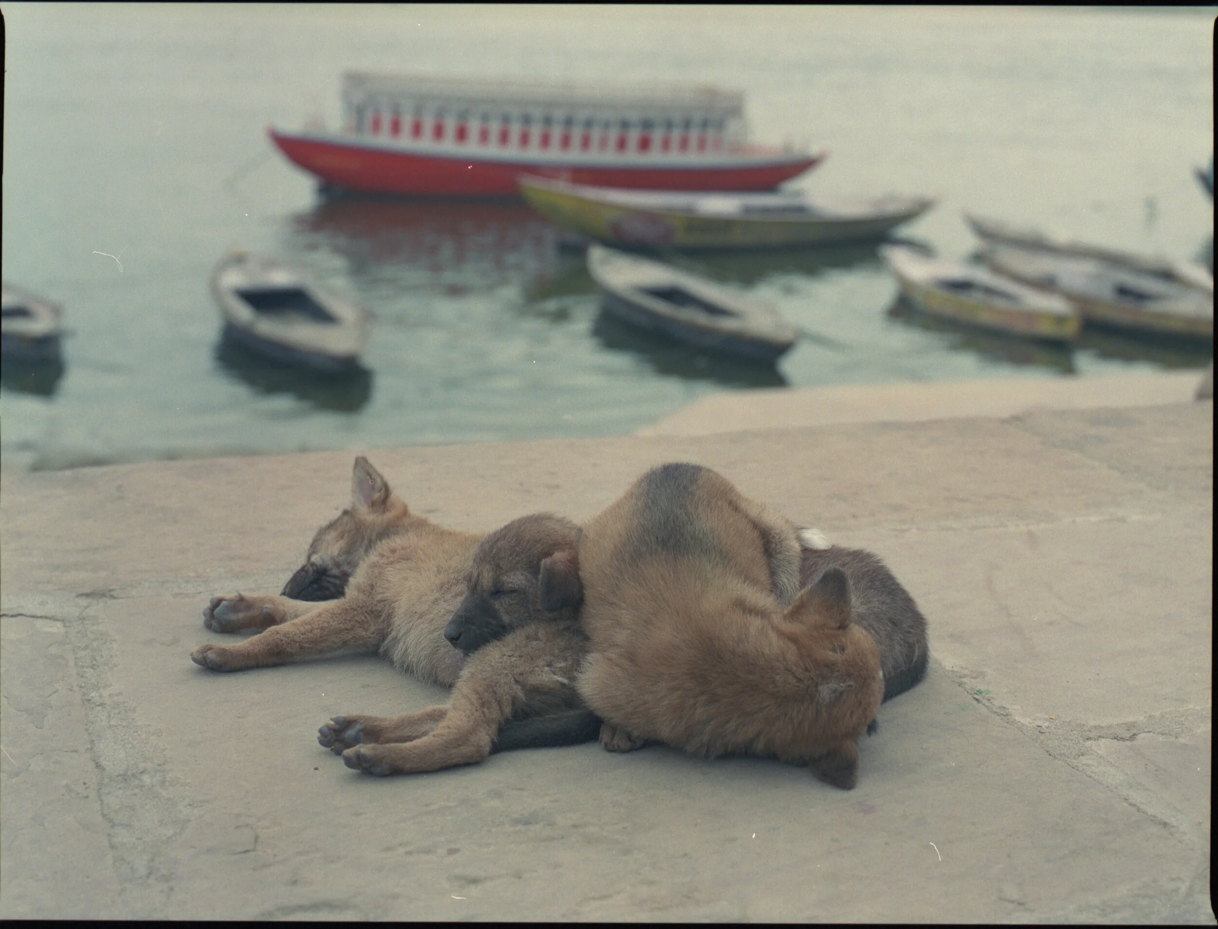 Varanasi_Cinestill800_001.jpg
