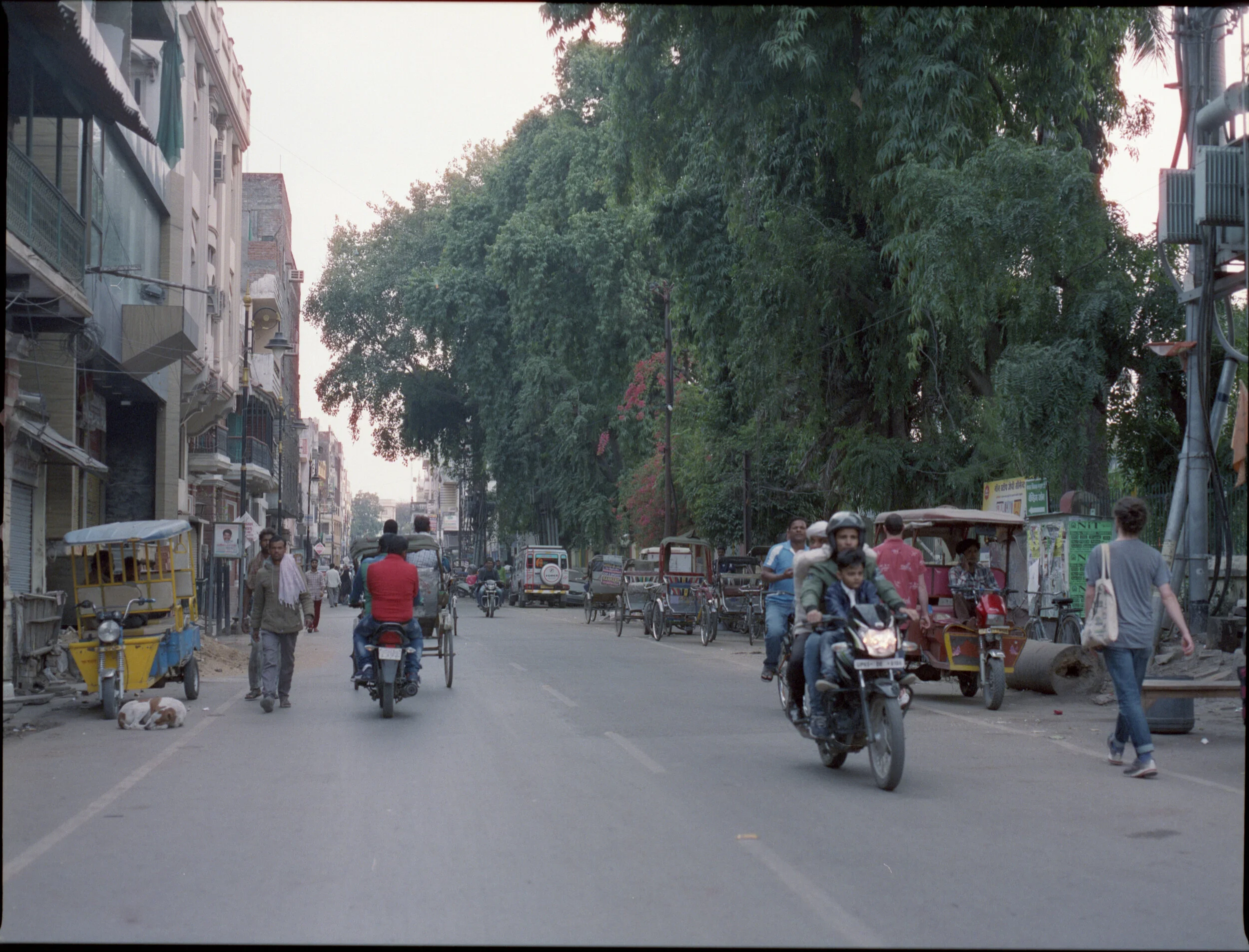 Varanasi_Cinestill800_008.jpg