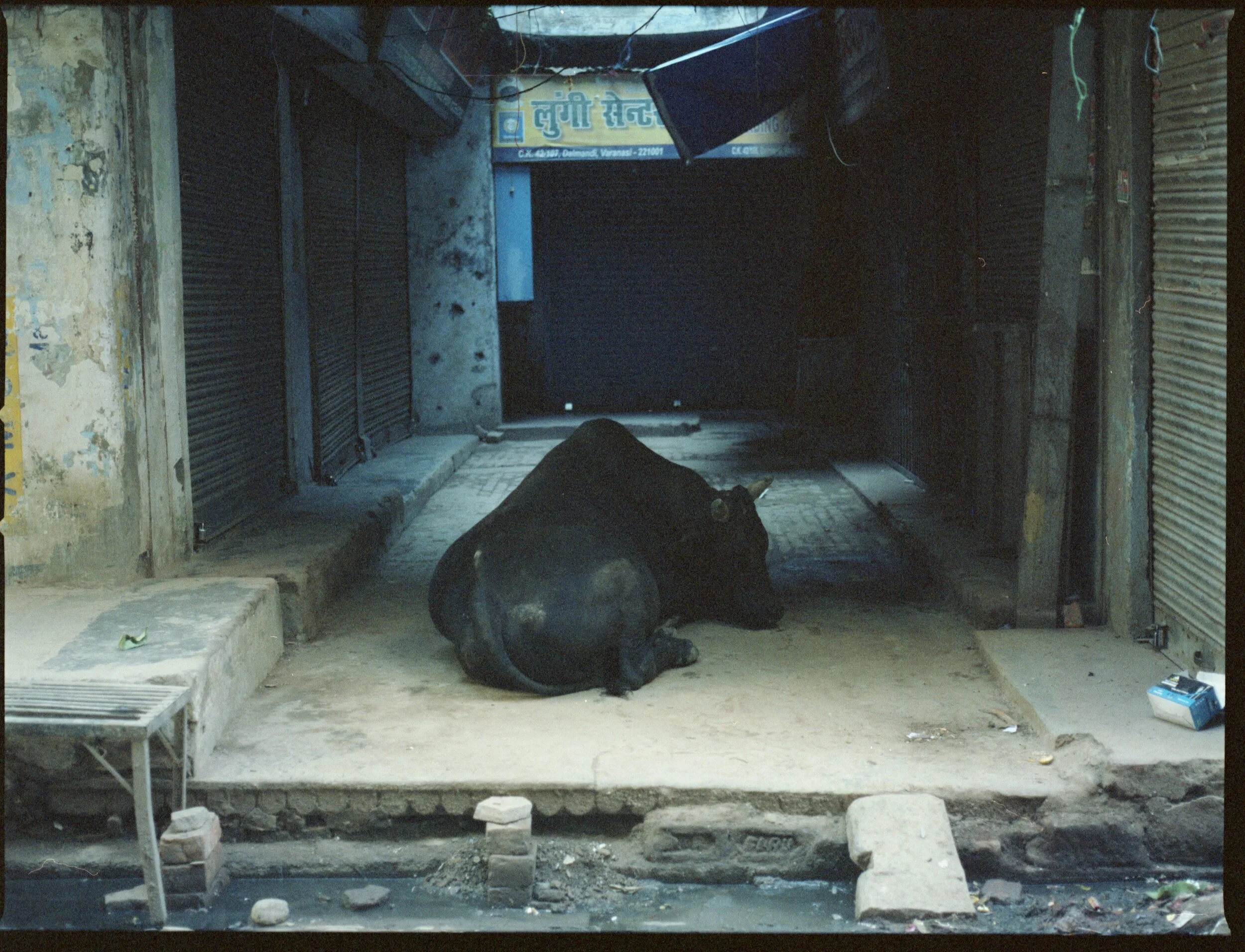 Varanasi_Cinestill800_002.jpg
