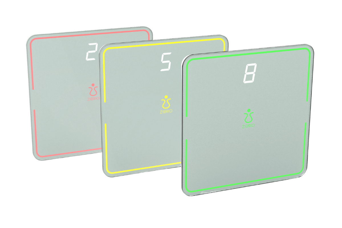 ZIBRIO