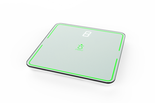 Improve Your Balance At Home with the Zibrio Stability Scale — ZIBRIO