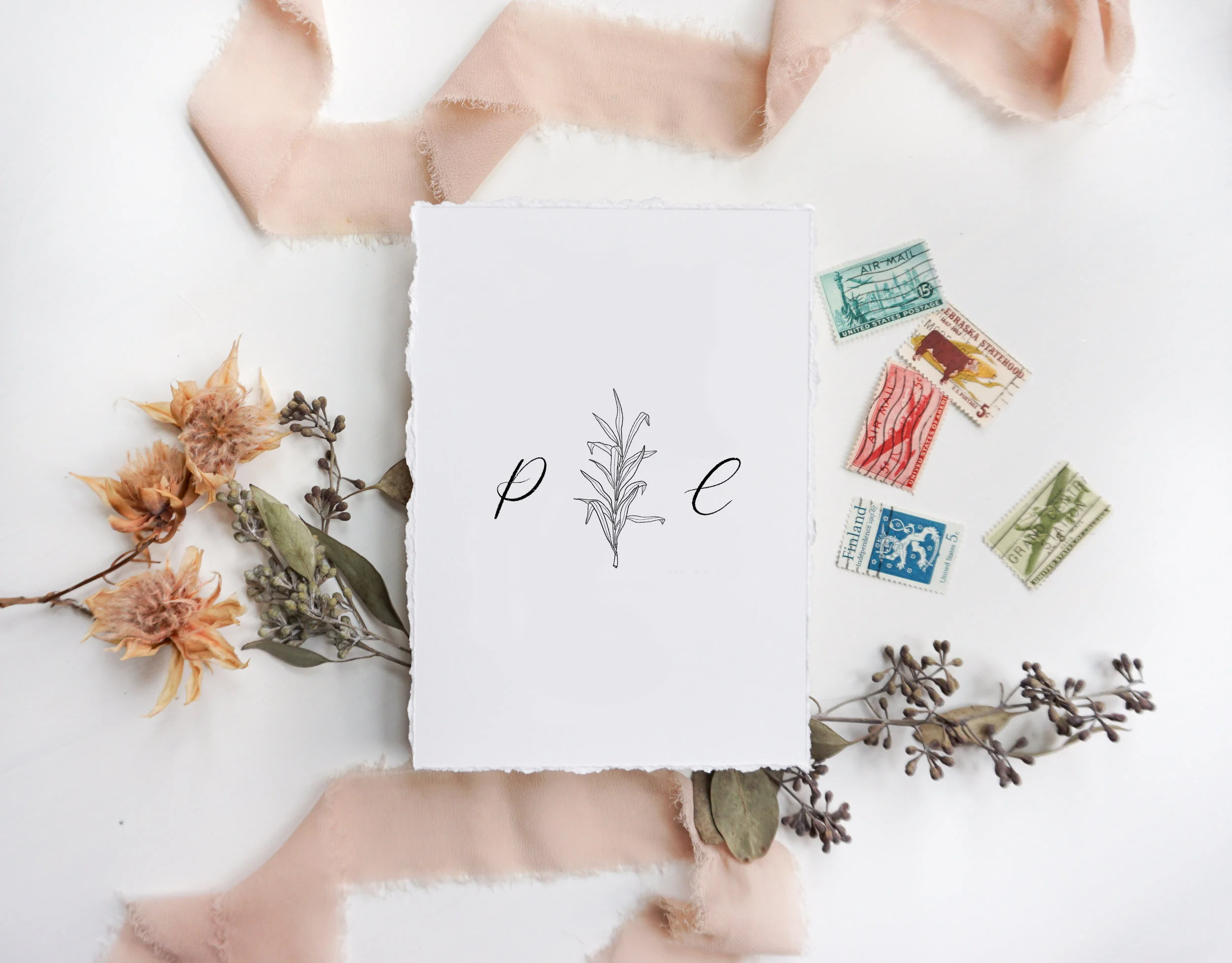 Leaf 1 blank rough edge.jpg