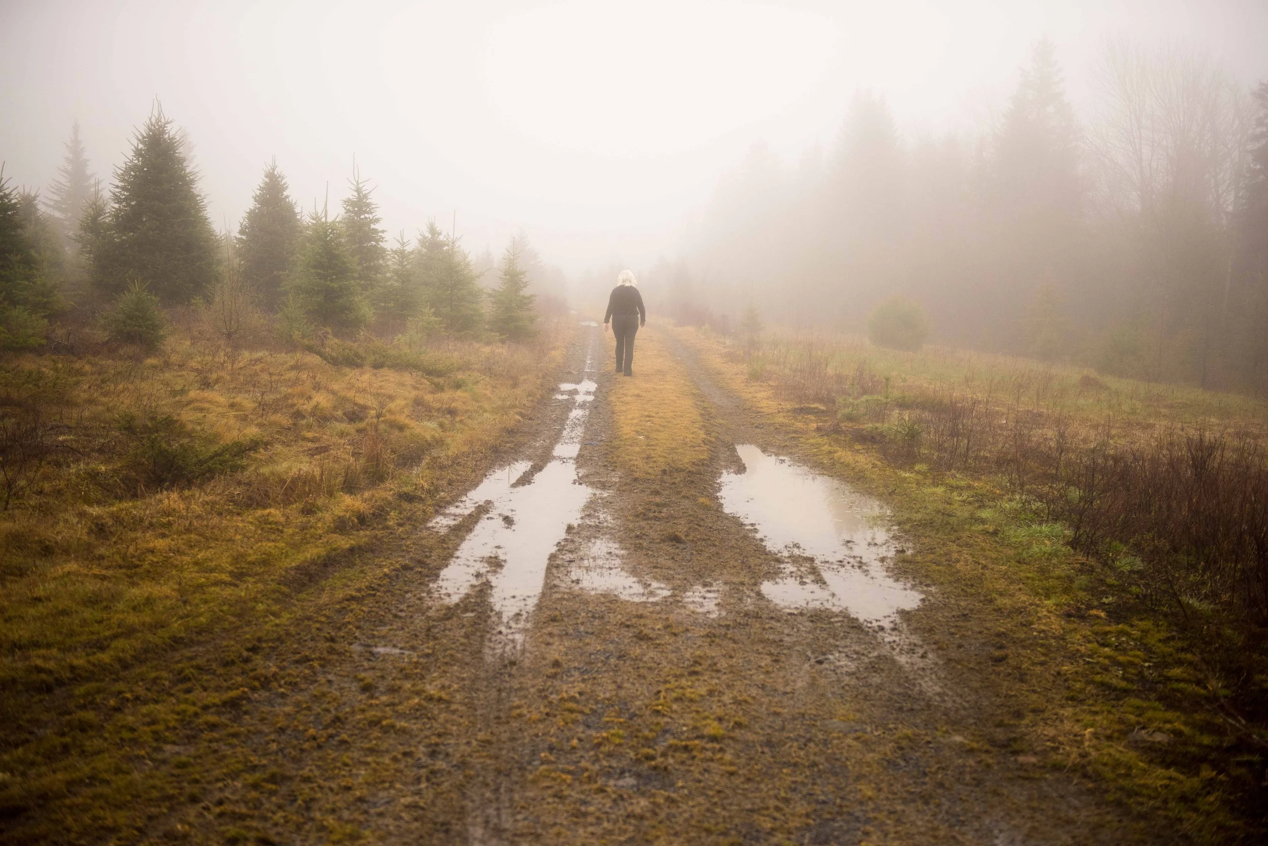 Searching for answers