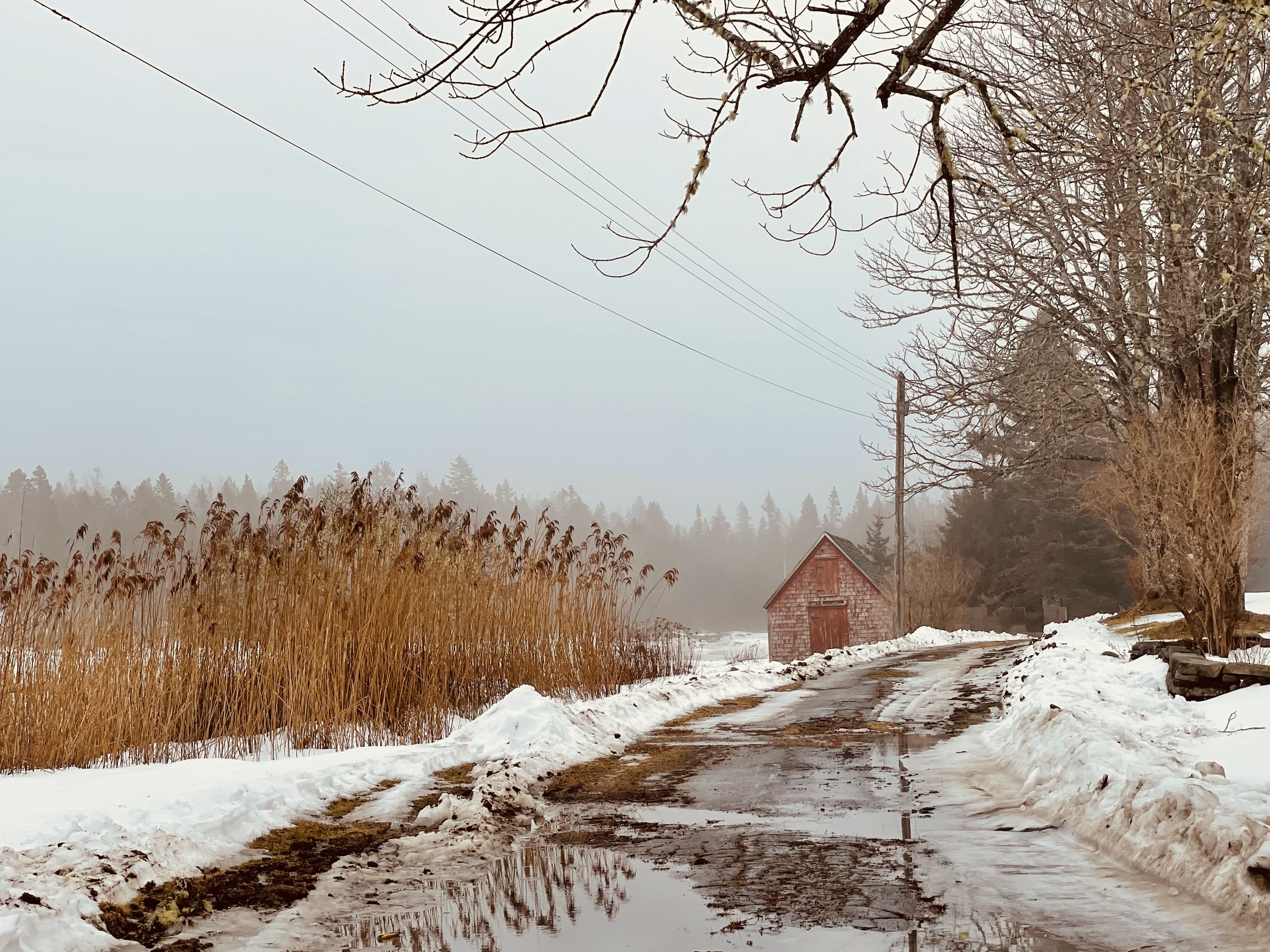 Winter Stillness