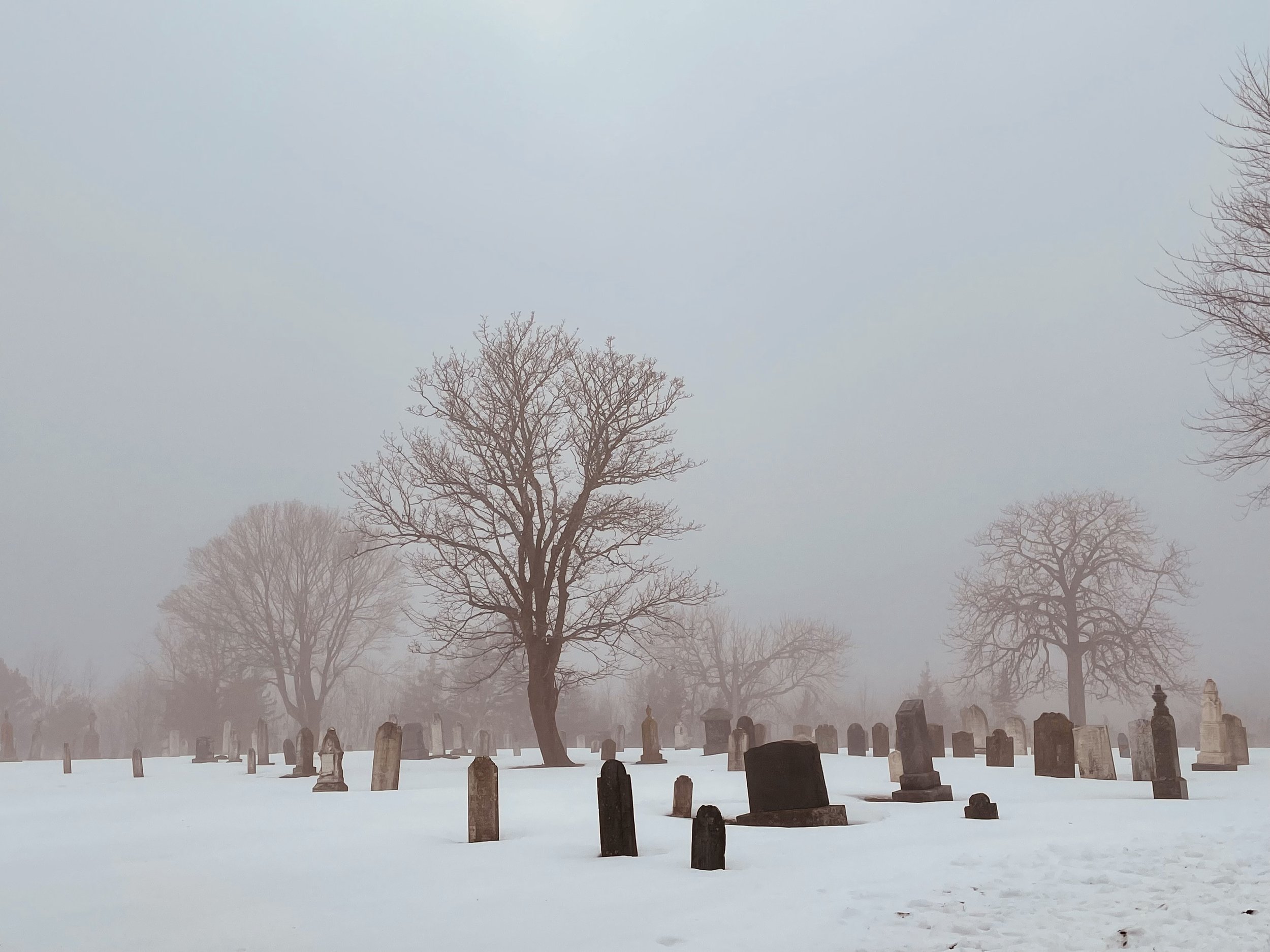 Quiet winter