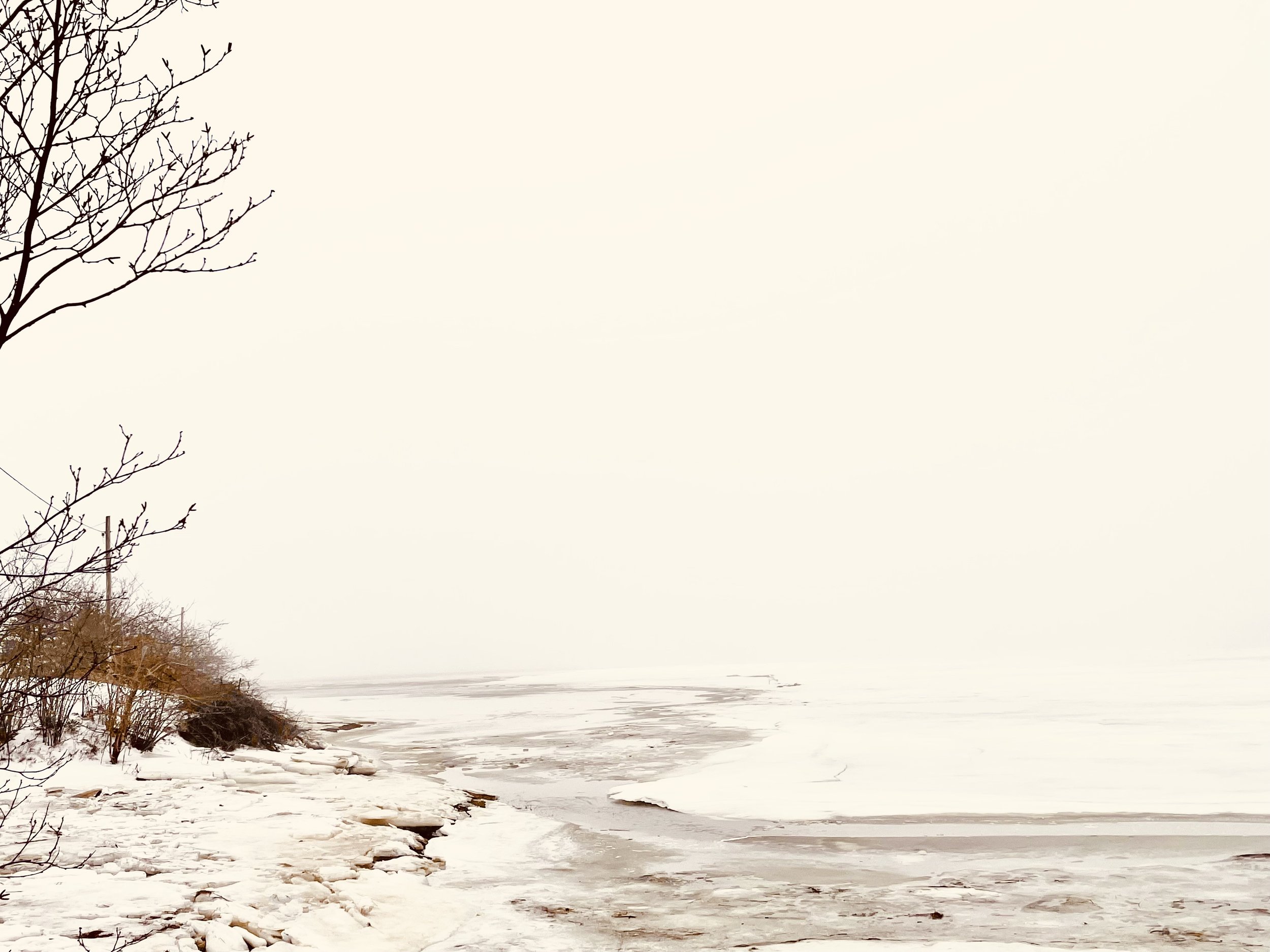 Icy shores