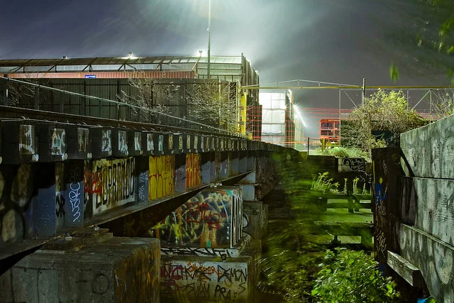 Photo courtesy of Mitch Waxman.