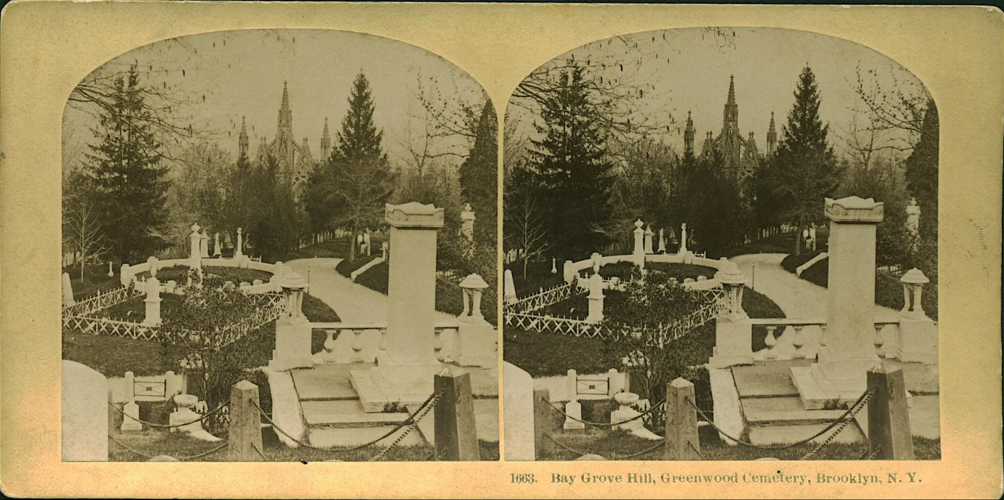 image17.jpg