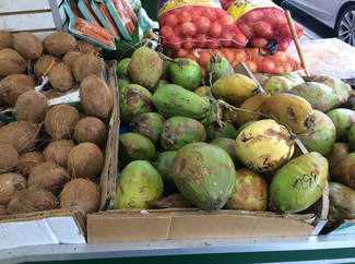 A photo of green and brown coconuts. To the left, the brown coconuts can be found in any grocery store. However, the green coconuts to the right are more traditionally found at West Indian produce stores, such as West Indian Farm Market.