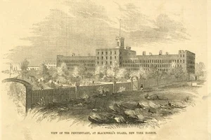 A "Madhouse in all its Naked Ugliness and Horror": An Interview with