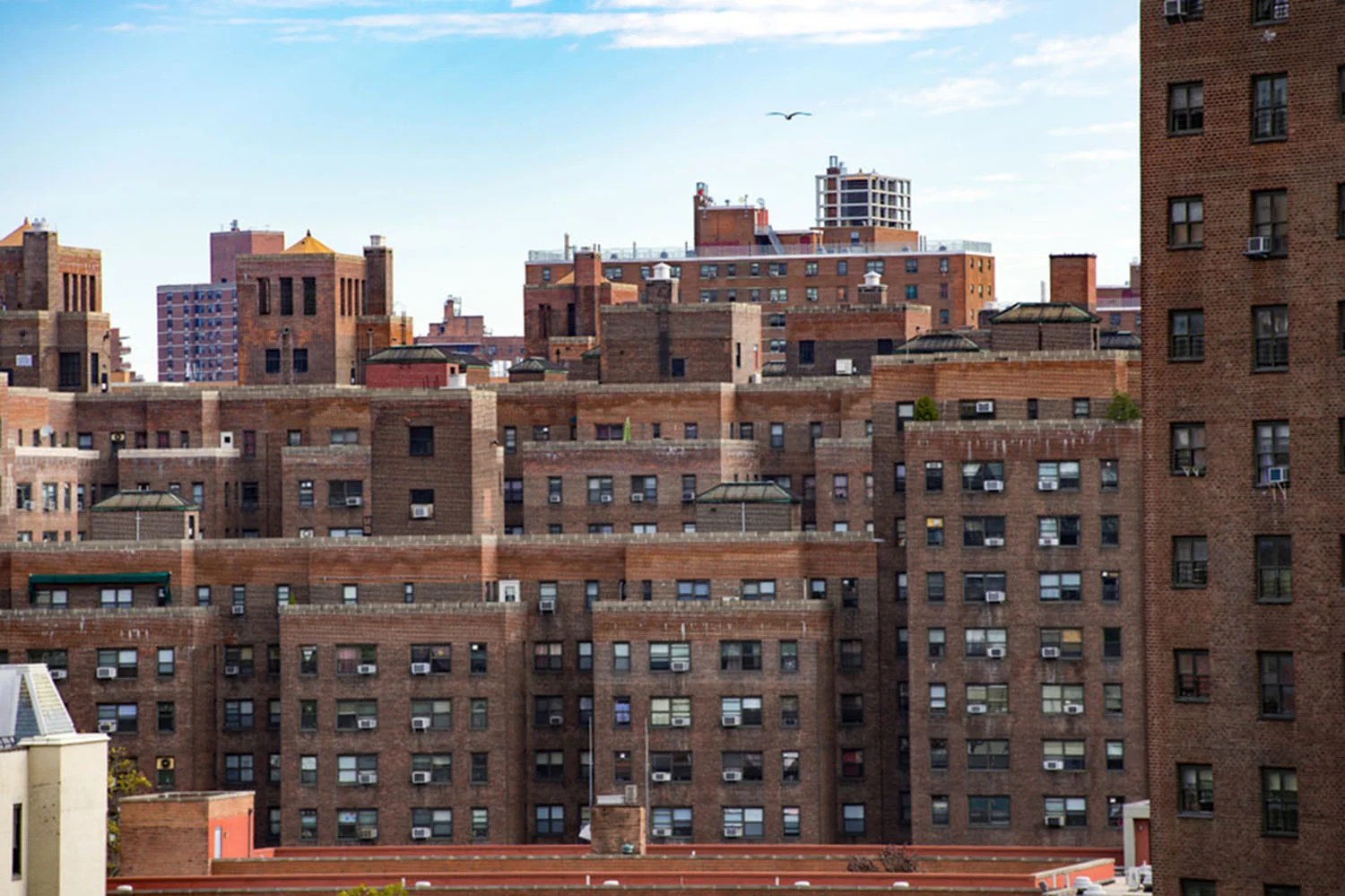 New York City's Housing Crisis.jpg