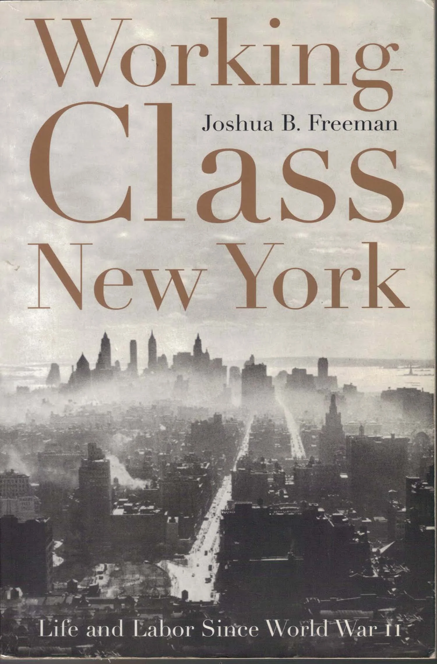 Working-Class New York.jpg