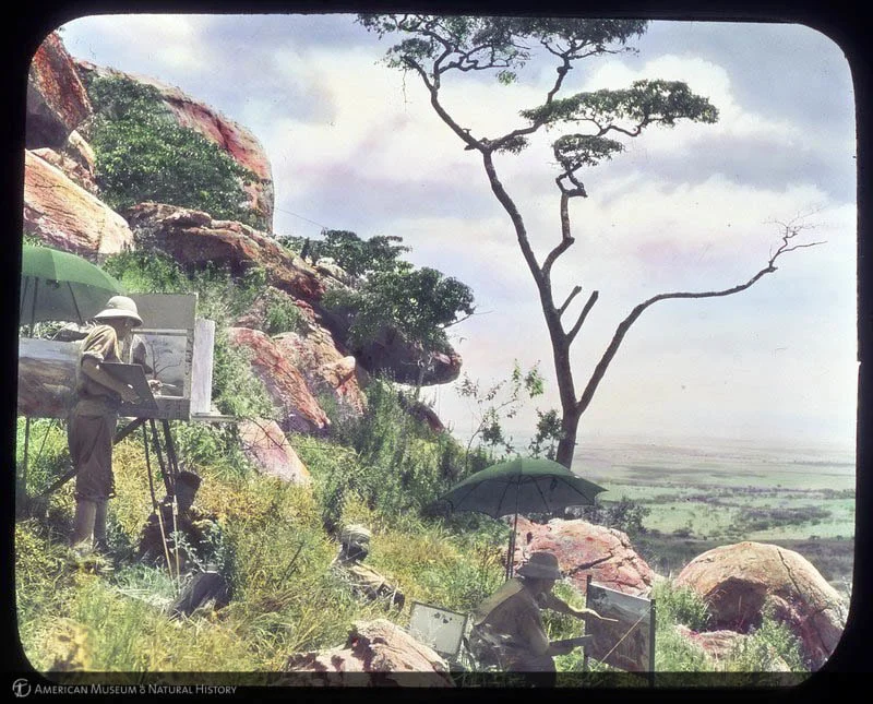 “Artists William R. Leigh and Arthur A. Jansson making studies for the Klipspringer Group, Akeley Hall of African Mammals, Lukenya Hills, Kenya, 1926-1927,” American Museum of Natural History Research Library | Digital Special Collections, http://lbry-web-007.amnh.org/digital/items/show/44535.