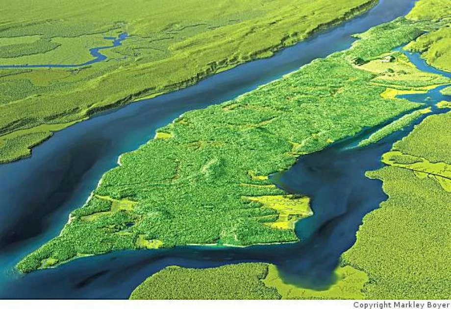 Myth #5: The Grid Plan Leveled Manhattan