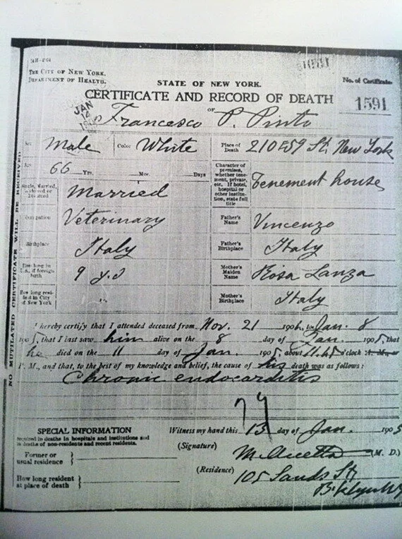 Death Certificate of Francesco Pietropinto, NYC January 13, 1905